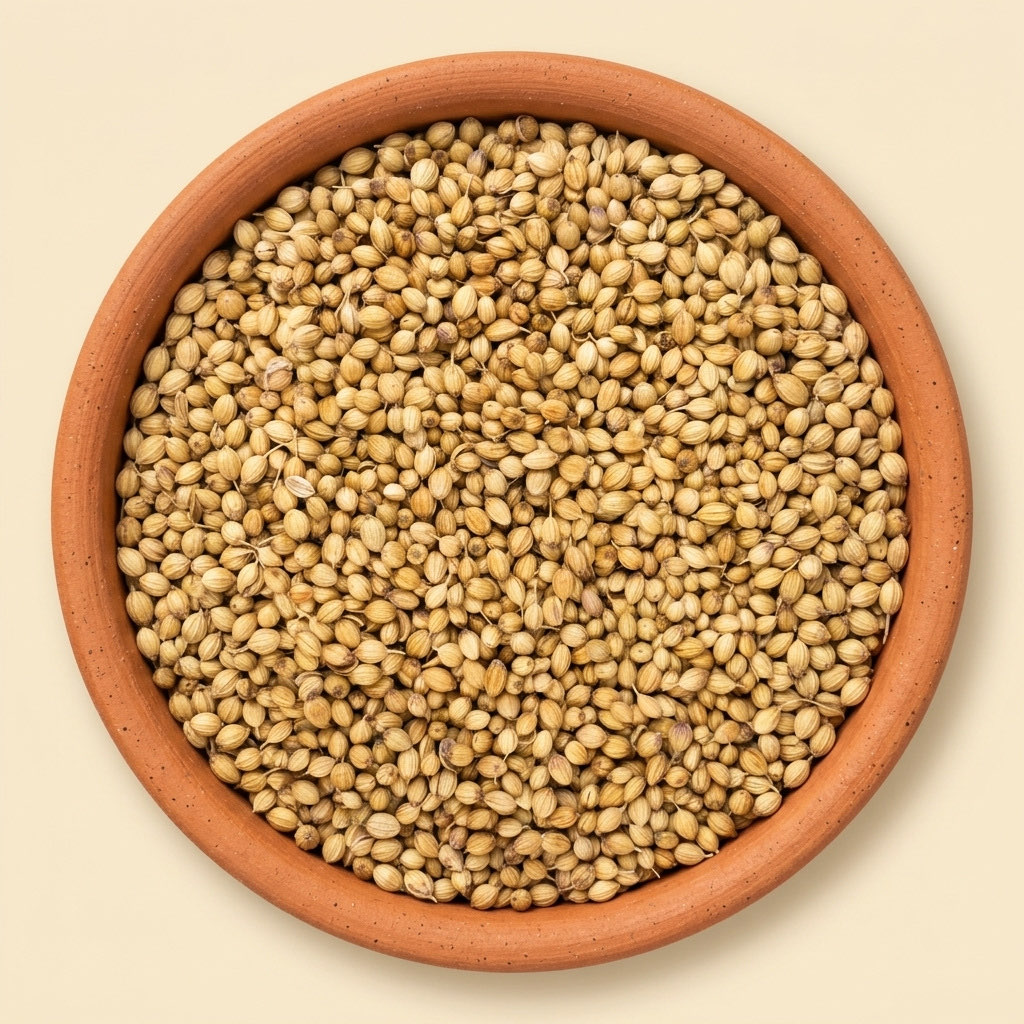 Coriander Seeds